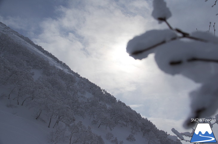 児玉毅×山木匡浩 b.c.map POWDER HUNTING in NISEKO 2018！